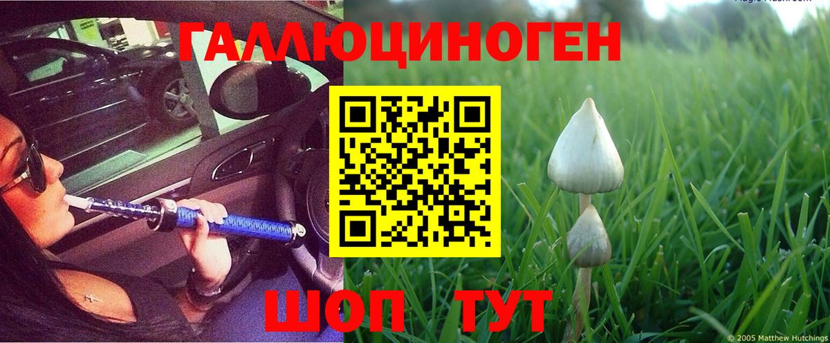 Псилоцибиновые грибы Magic Shrooms Электросталь
